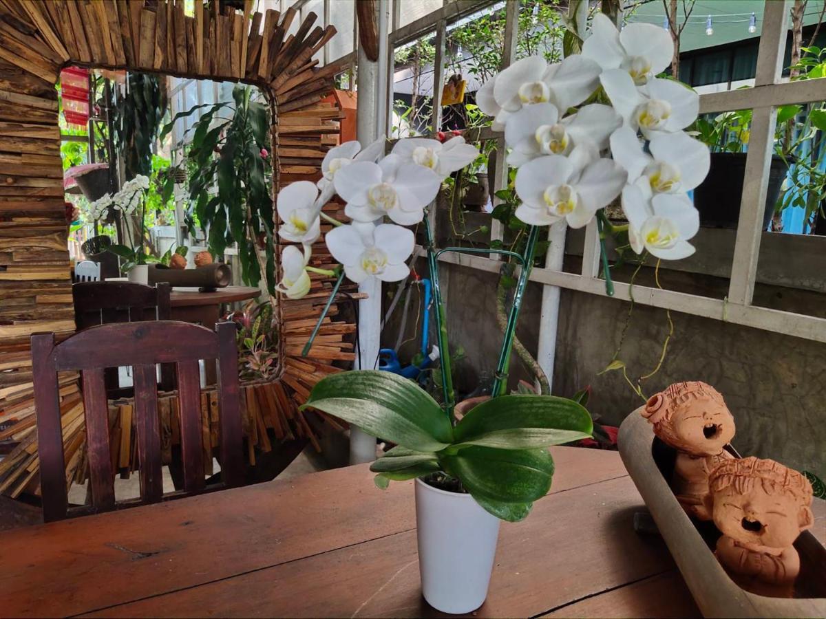 Aunt & Uncle'S House Bed & Breakfast Chiang Mai Ngoại thất bức ảnh
